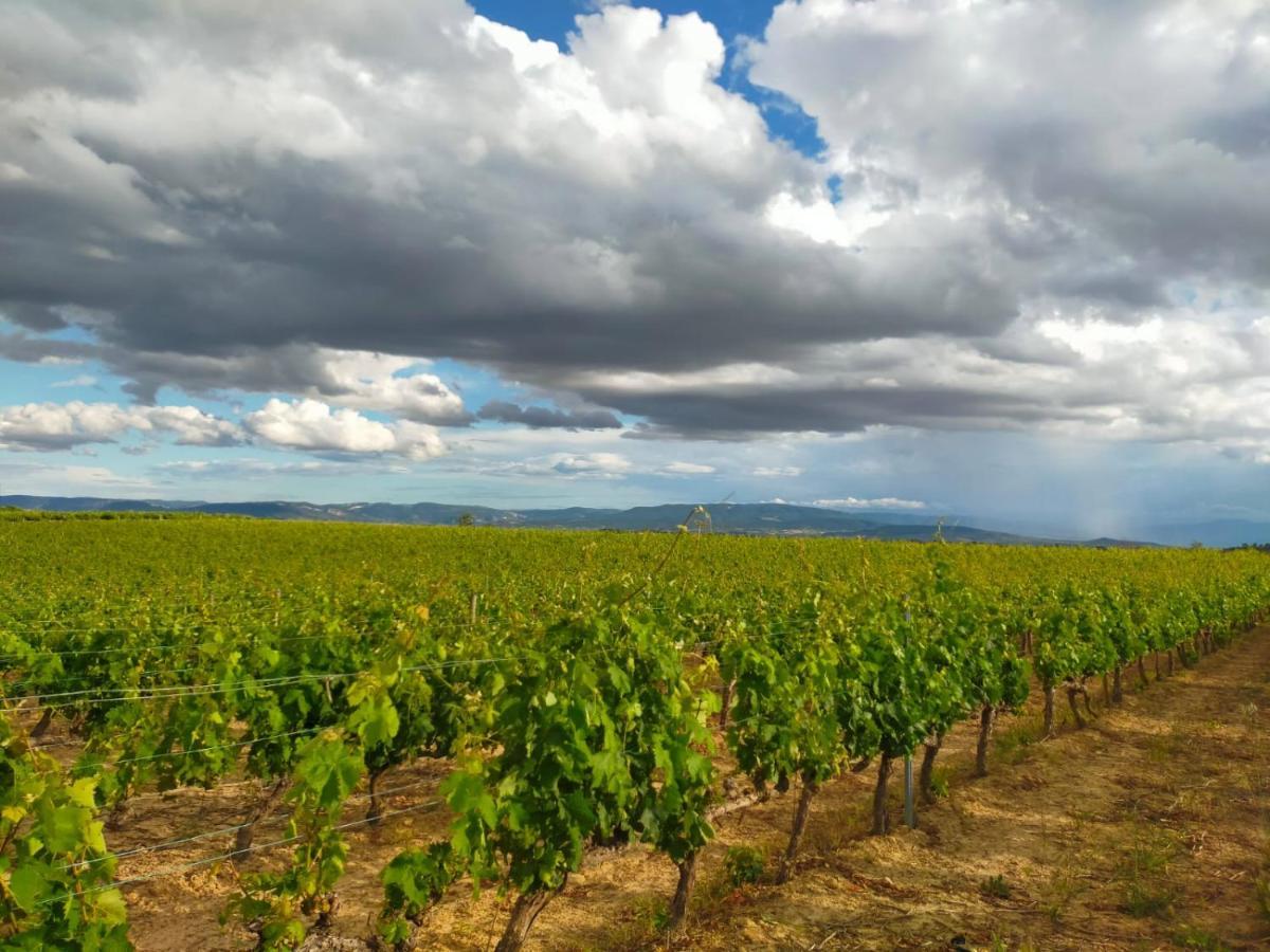 La Puerta Al Centro De Logrono Vino Crianza Y Desayuno Incluidos Διαμέρισμα Εξωτερικό φωτογραφία